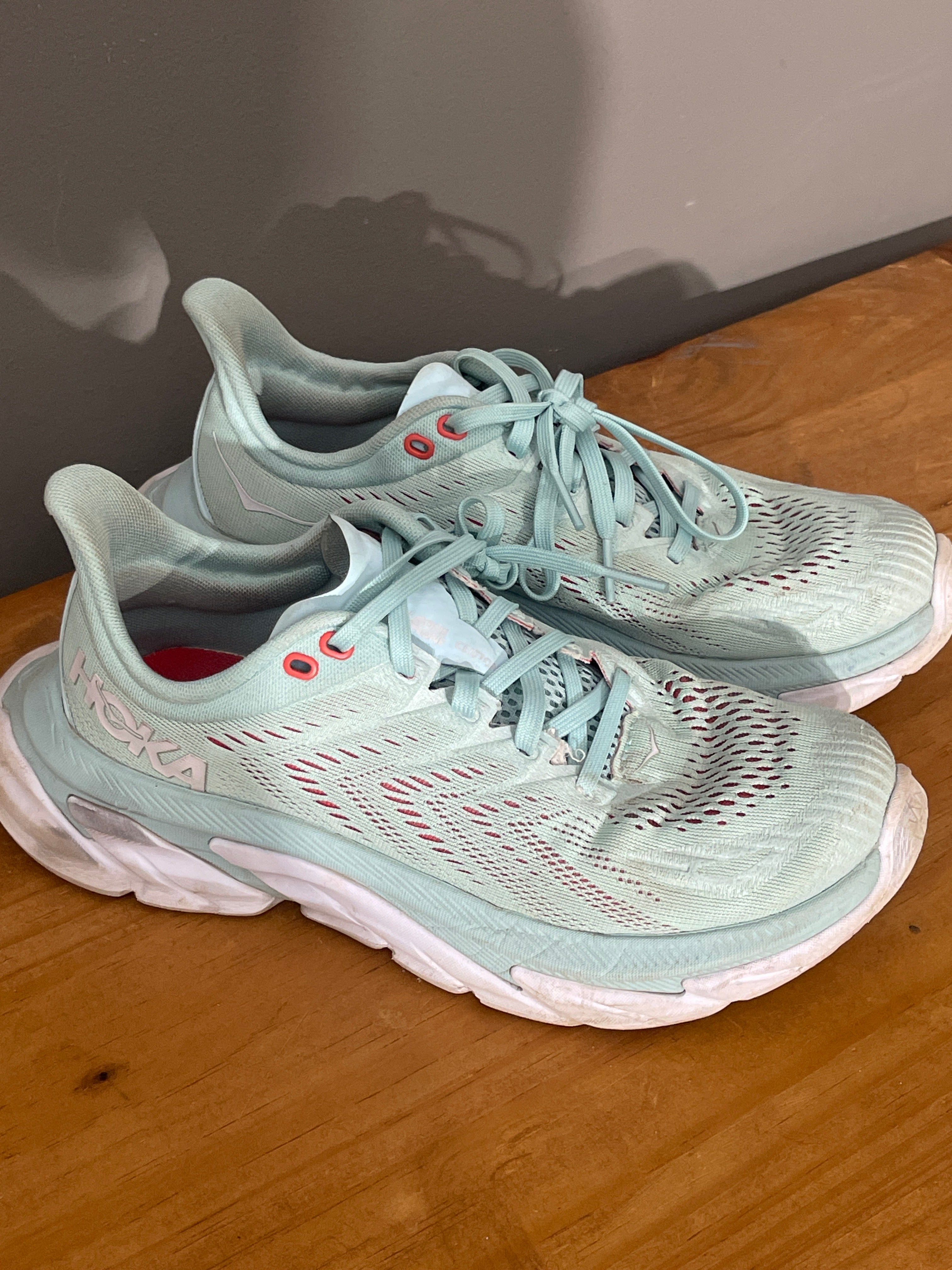Hoka #100