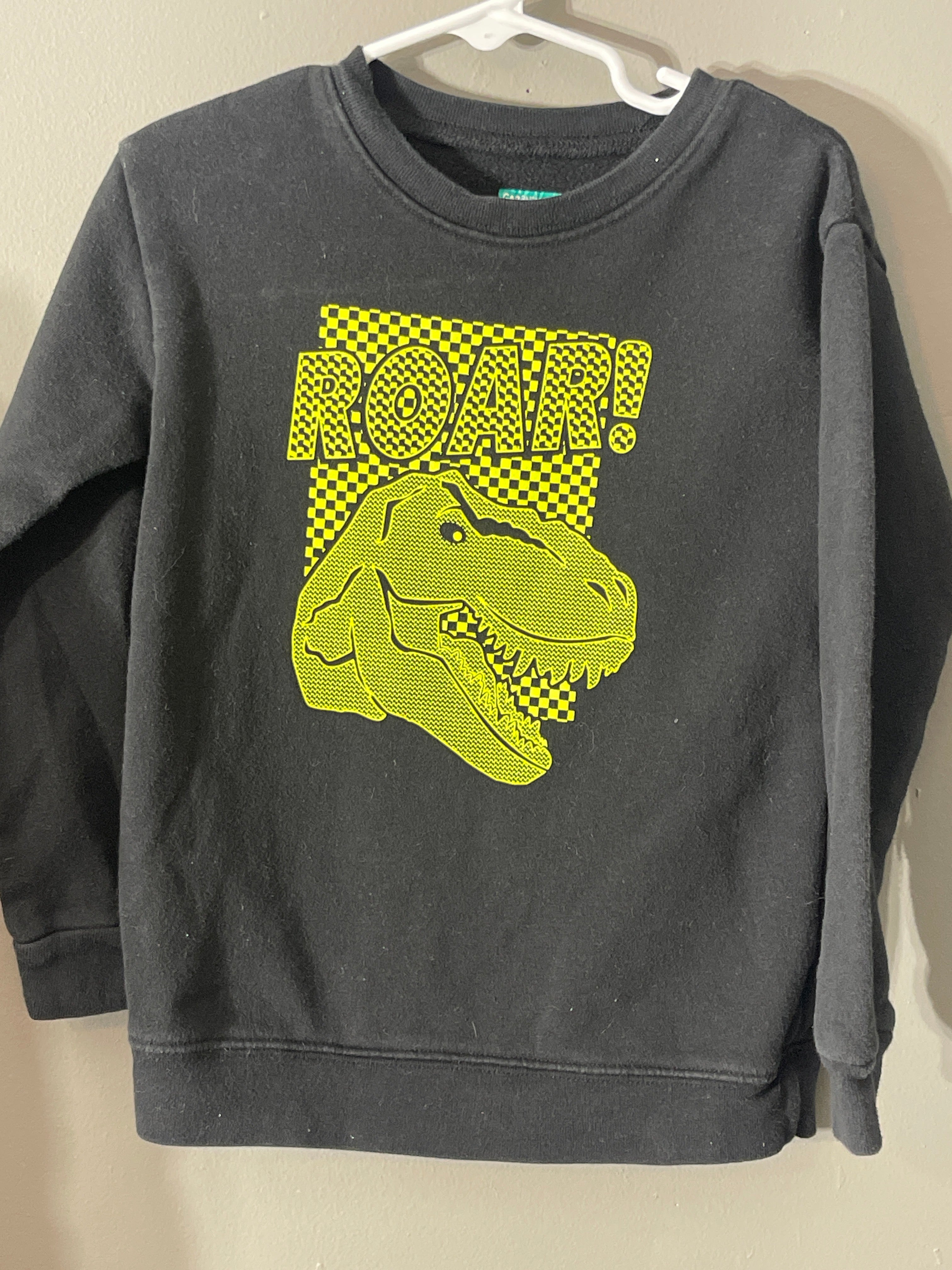 Dino sweatshirt